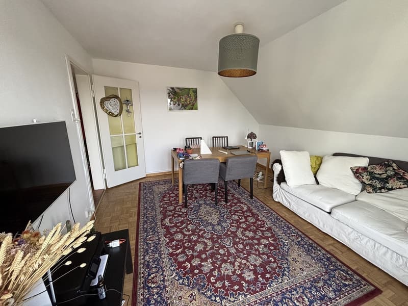 Spacious, big bedroom in beautiful Hönggerberg area - long term stays only! (7)