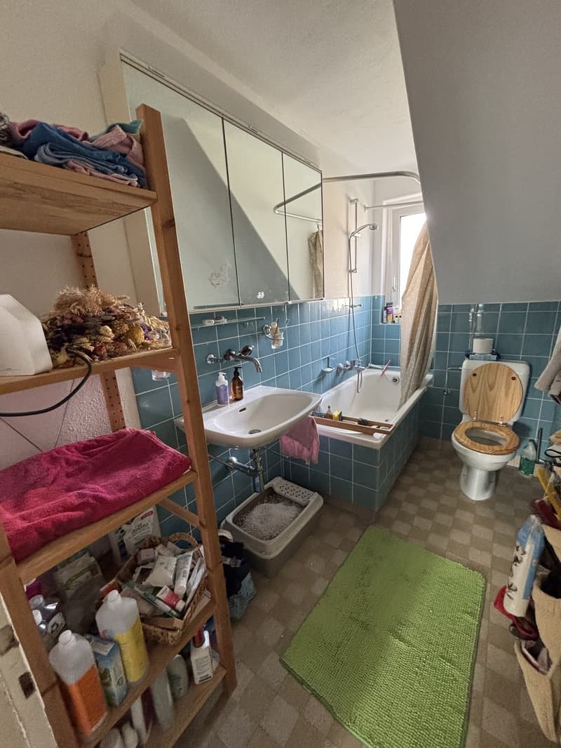 Spacious, big bedroom in beautiful Hönggerberg area - long term stays only! (8)