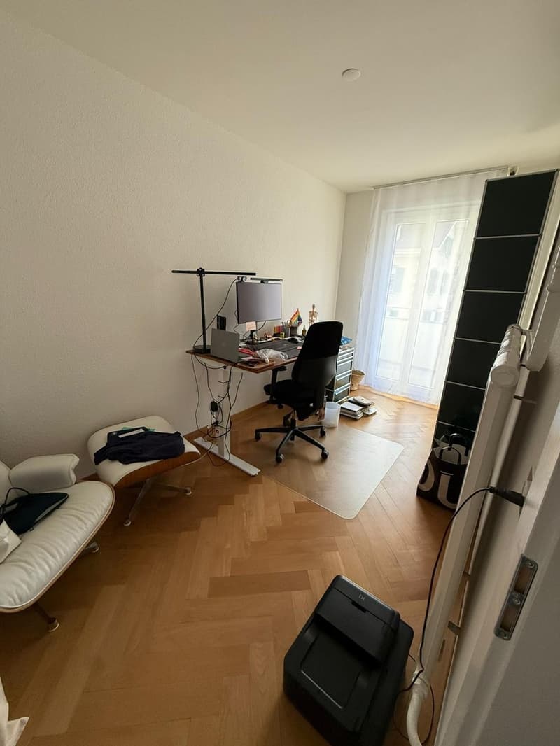 Wunderschöne Wohnung im beliebten Breitsch sucht Untermieterin / Untermieter (7)