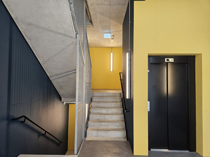 Kleine Loft- Wohnung (55m2, 2024 Neubau) (5)