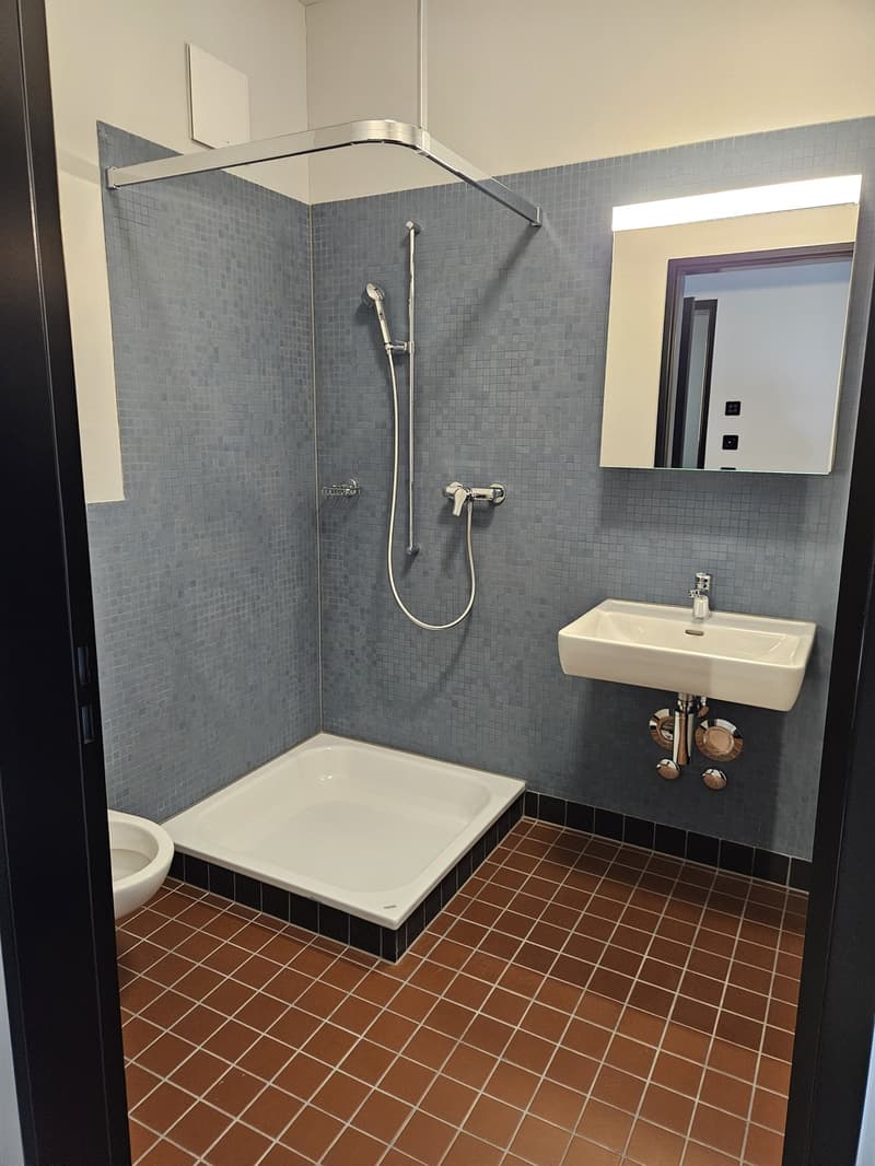 Kleine Loft- Wohnung (55m2, 2024 Neubau) (7)