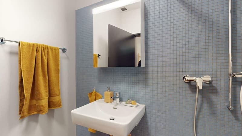 Kleine Loft- Wohnung (55m2, 2024 Neubau) (8)