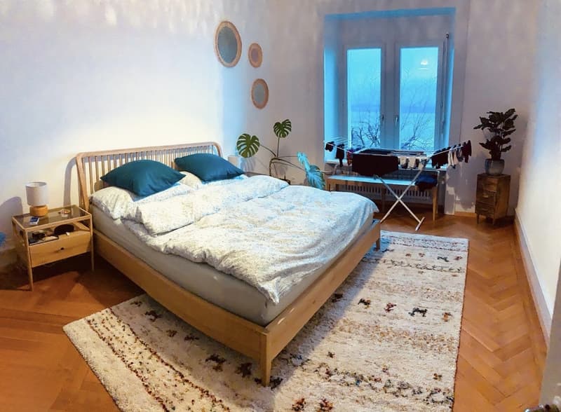 Magnifique appartement de caractère de 4.5 pièces, 100m2 (1)