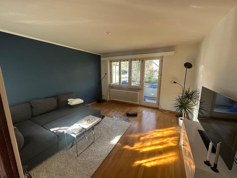 Roomie gesucht (1)