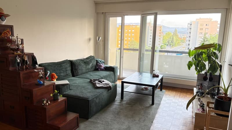 Appartement 2 ½ pièces, 1700 FRIBOURG (8)