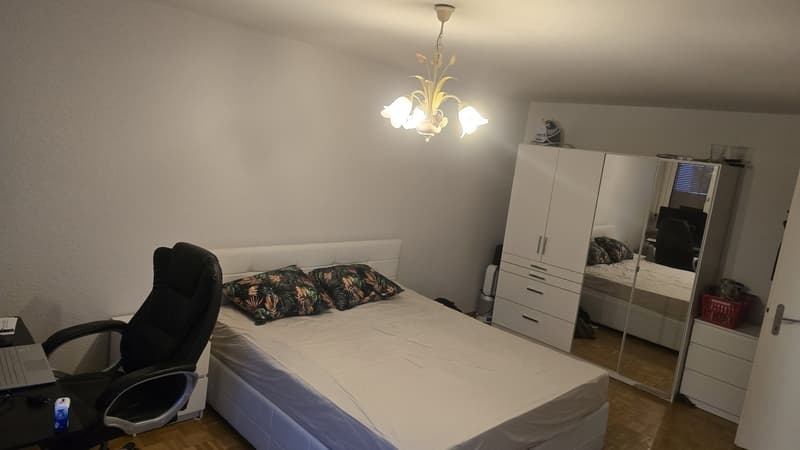 Grosszügiges WG-Zimmer im Herzen von Höngg zu vermieten (2)