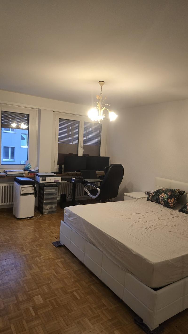Grosszügiges WG-Zimmer im Herzen von Höngg zu vermieten (5)