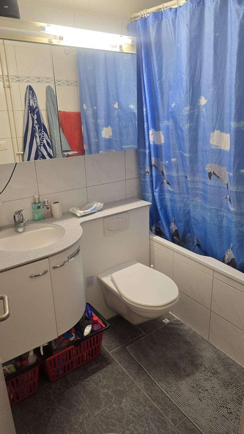 Grosszügiges WG-Zimmer im Herzen von Höngg zu vermieten (6)