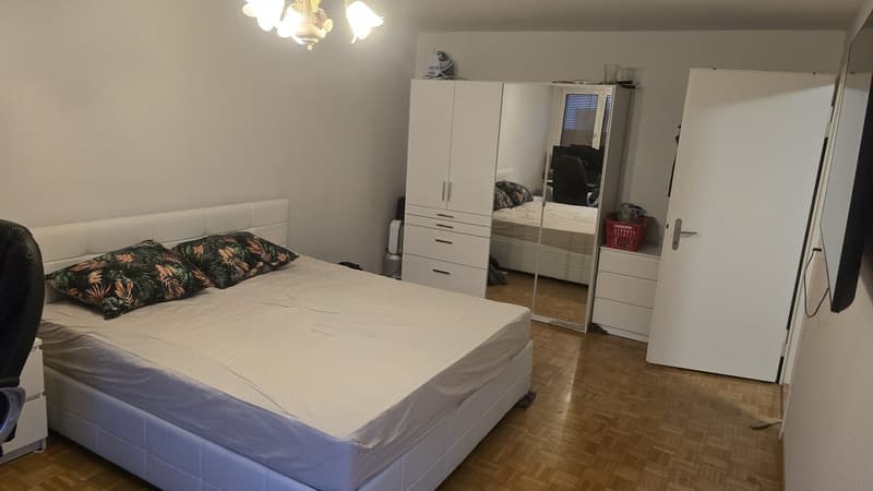 Grosszügiges WG-Zimmer im Herzen von Höngg zu vermieten (3)