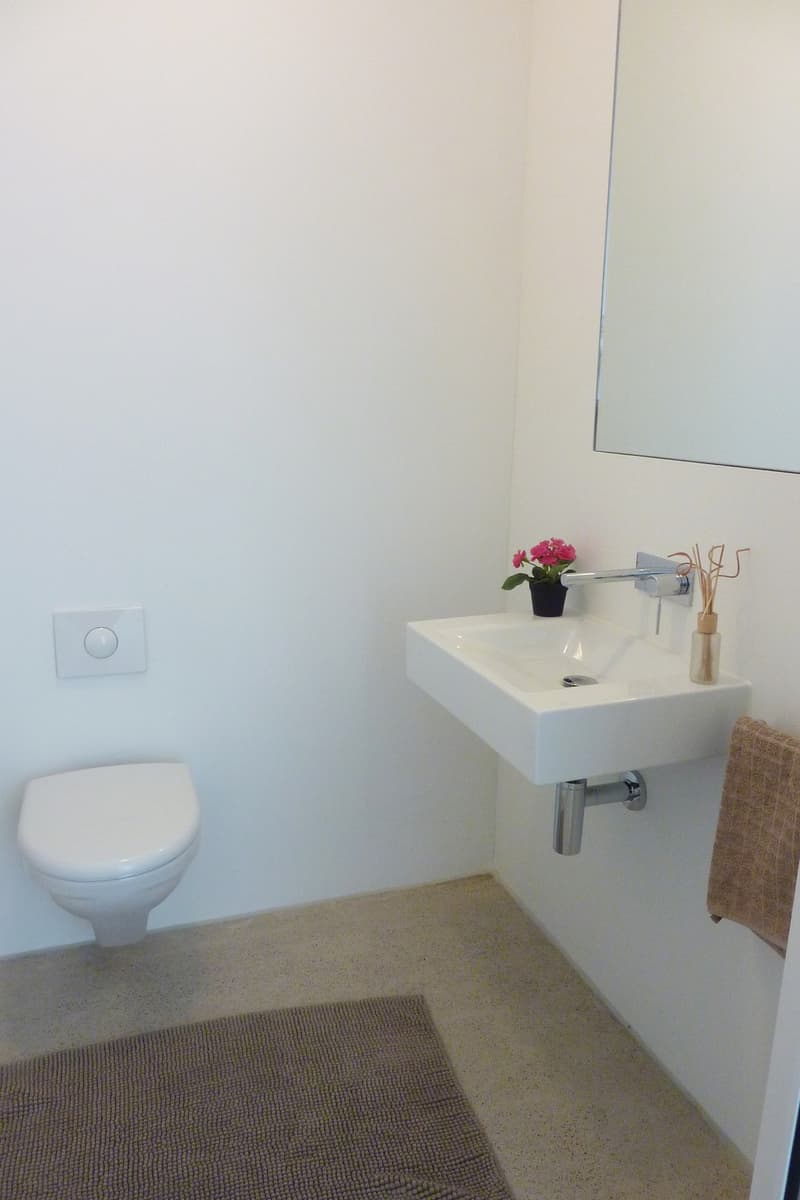WG-Zimmer in grosszügiger Maisonettewohnung mit Balkon in Zürich-Albisrieden (8)