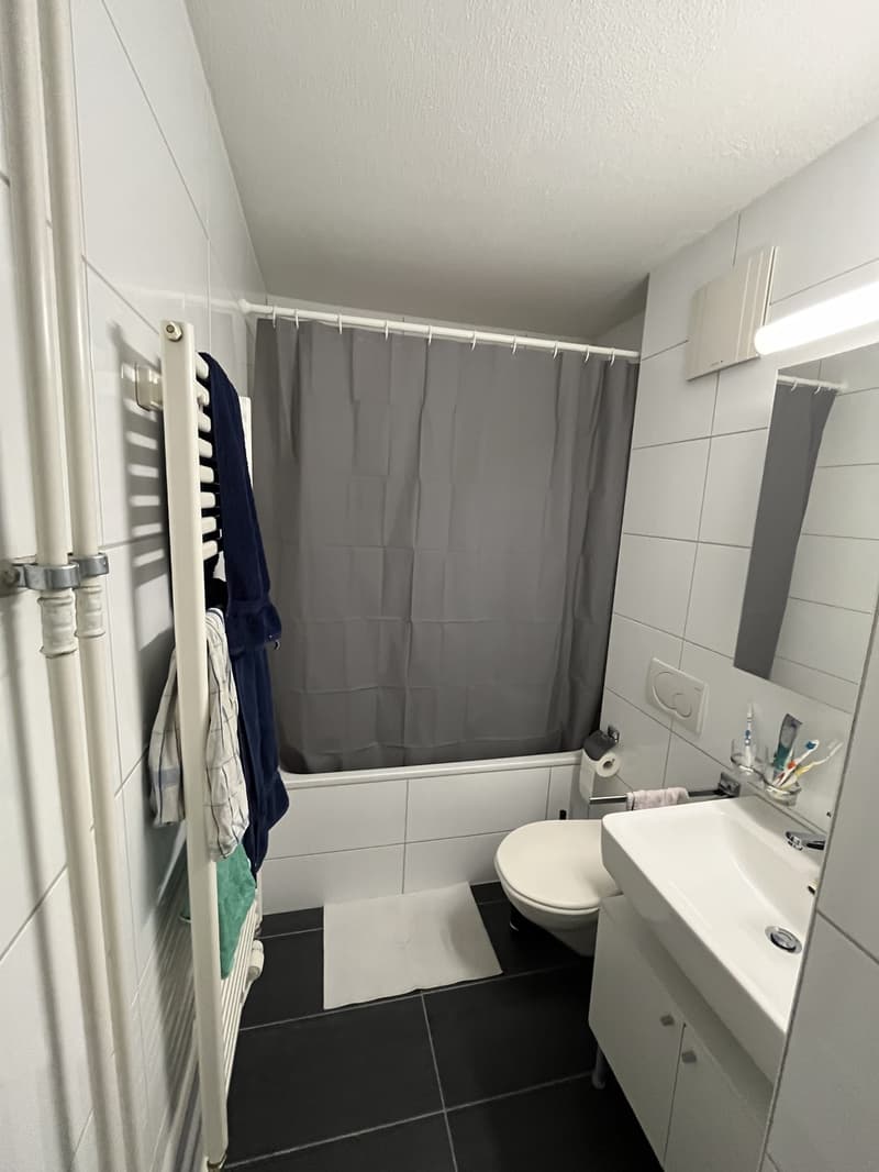 2 ½ Zimmer-Wohnung, 8302 Kloten (2)