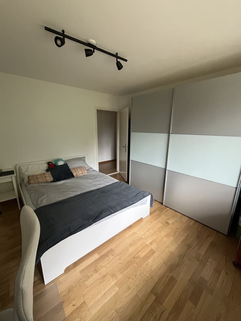 2 ½ Zimmer-Wohnung, 8302 Kloten (3)