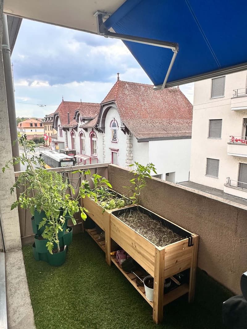 Appartement 2,5 - Orbe (VD) (11)