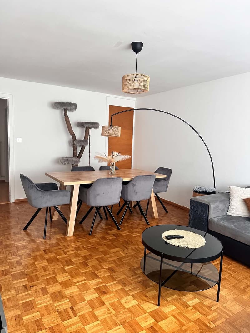 Appartement 2,5 - Orbe (VD) (7)