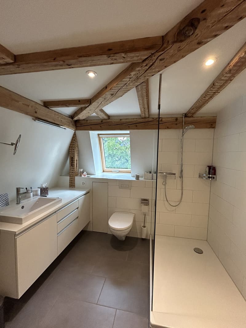 Stilvolle 2,5-Zimmer Dachwohnung mit exklusiver Panorama-Dachterrasse (7)