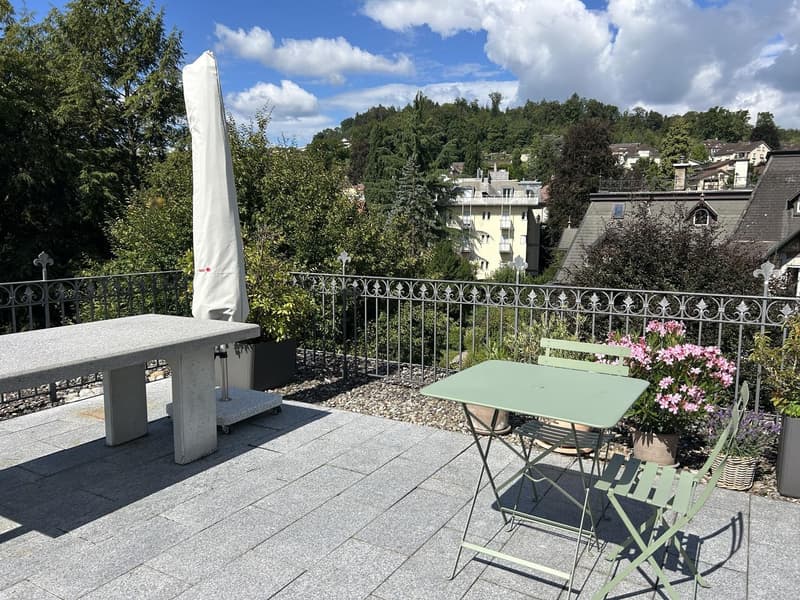 Stilvolle 2,5-Zimmer Dachwohnung mit exklusiver Panorama-Dachterrasse (3)