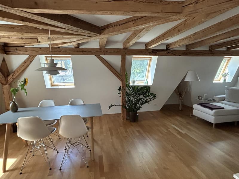 Stilvolle 2,5-Zimmer Dachwohnung mit exklusiver Panorama-Dachterrasse (1)