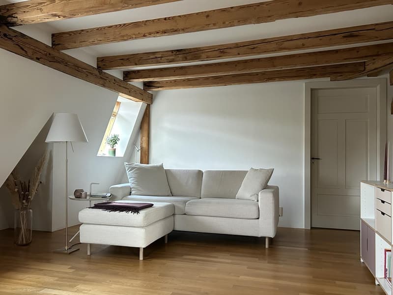 Stilvolle 2,5-Zimmer Dachwohnung mit exklusiver Panorama-Dachterrasse (5)