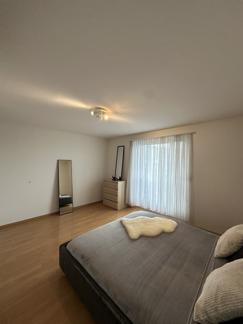 Fully furnished 2.5-room apartment in Zurich (5)