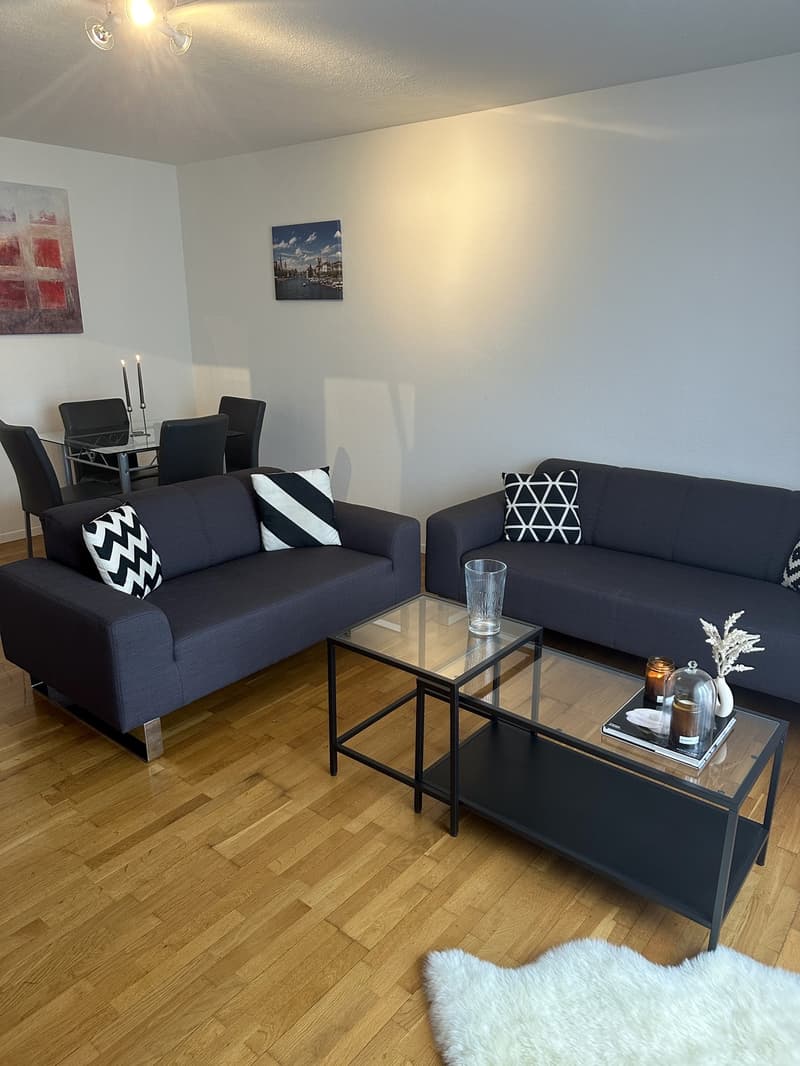 Fully furnished 2.5-room apartment in Zurich (3)