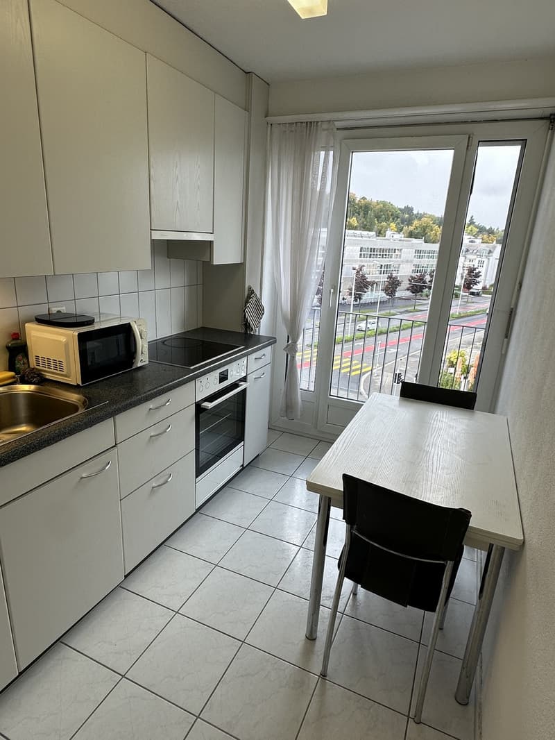 Fully furnished 2.5-room apartment in Zurich (7)