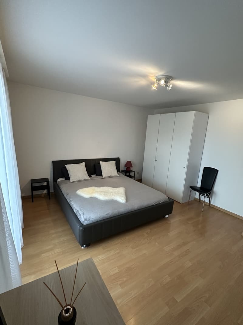 Fully furnished 2.5-room apartment in Zurich (4)