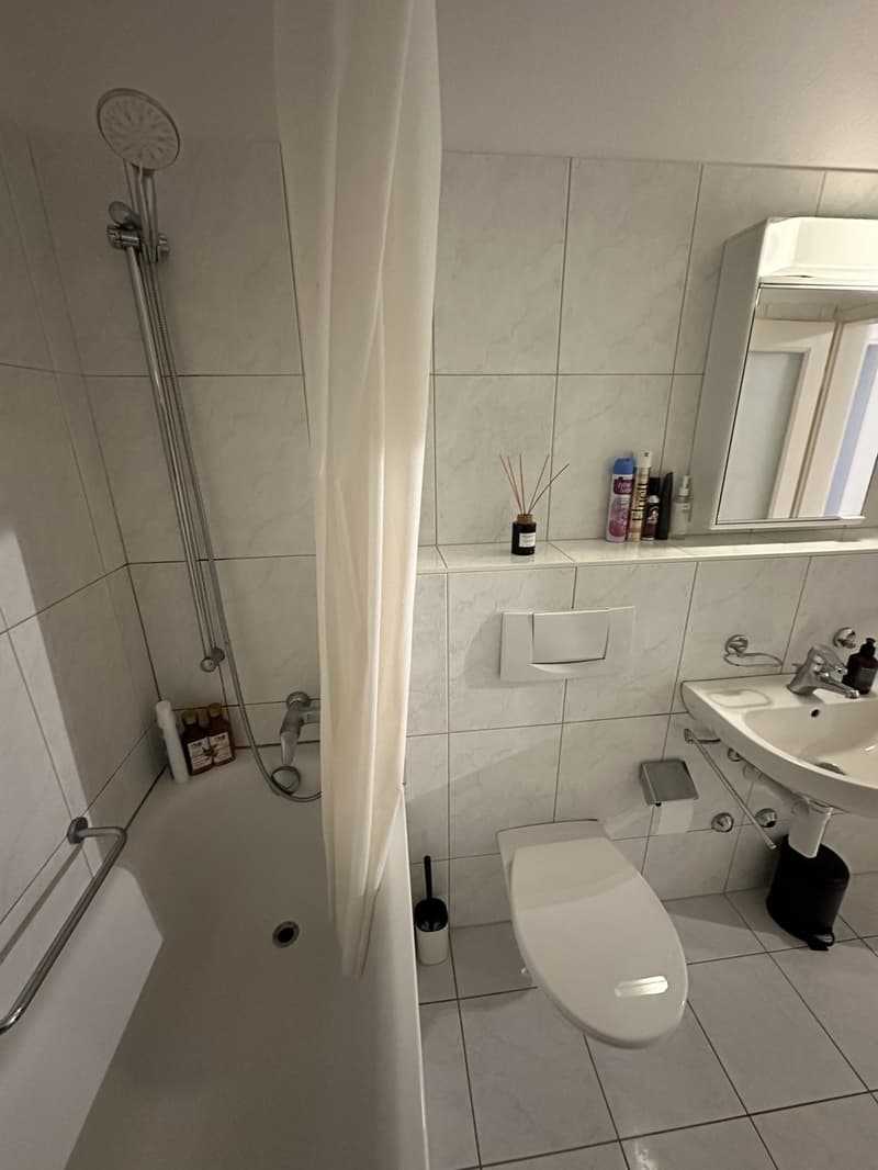Fully furnished 2.5-room apartment in Zurich (9)