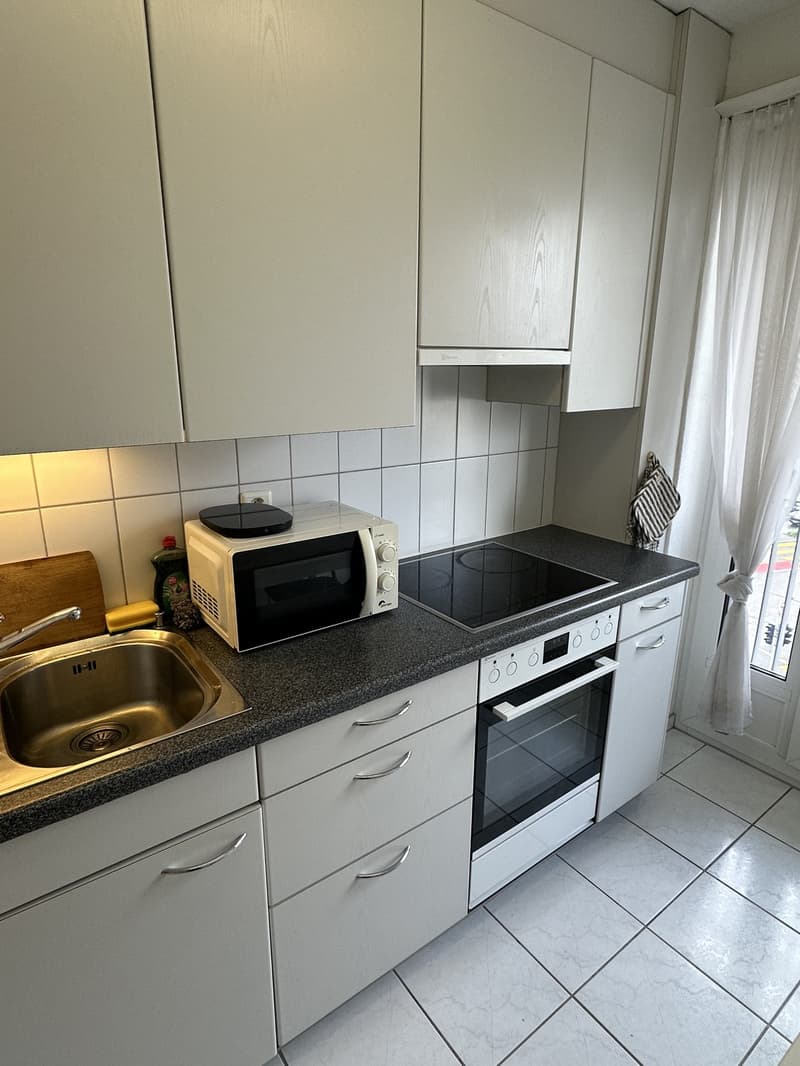Fully furnished 2.5-room apartment in Zurich (6)