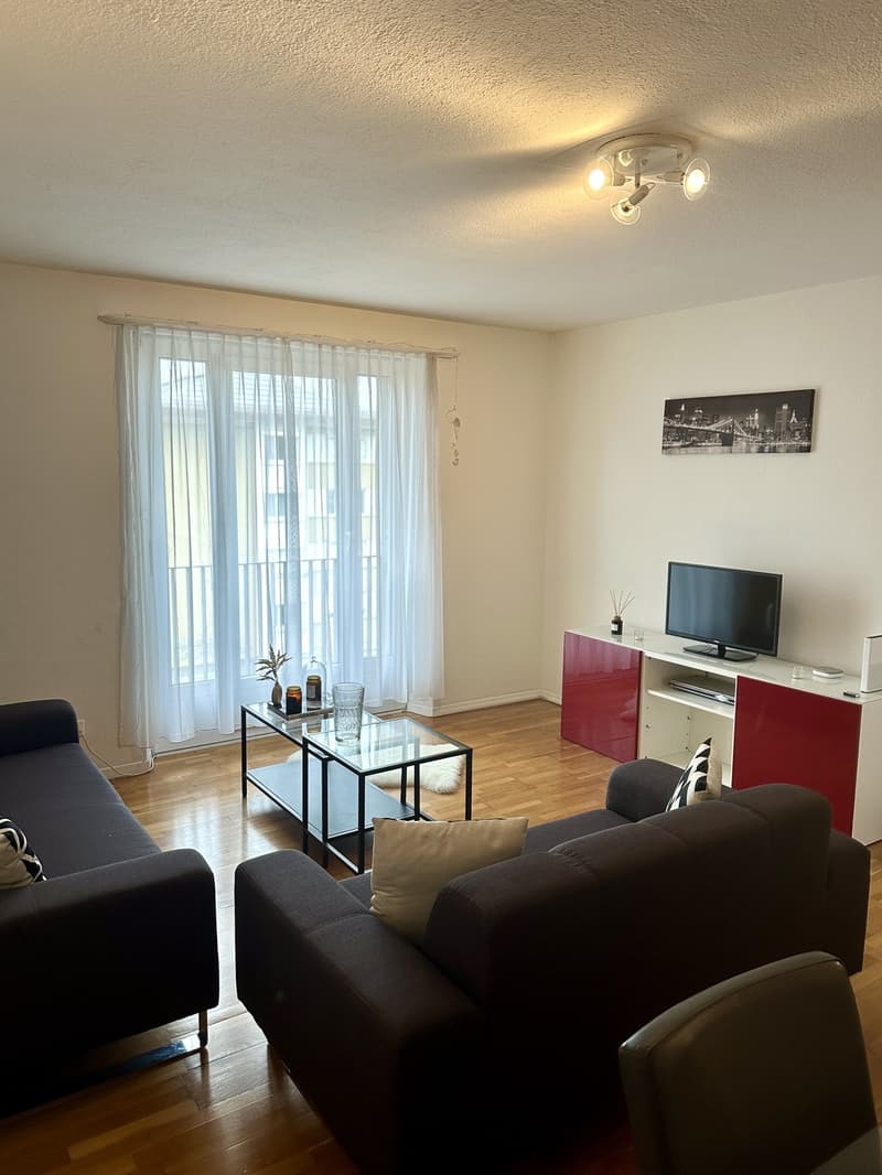 Fully furnished 2.5-room apartment in Zurich (2)