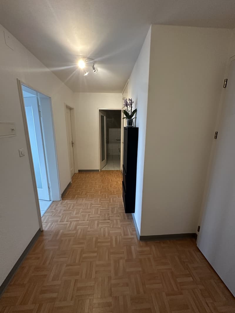 Fully furnished 2.5-room apartment in Zurich (10)