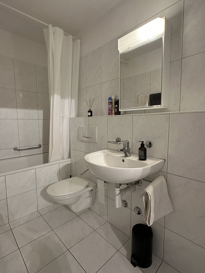 Fully furnished 2.5-room apartment in Zurich (8)