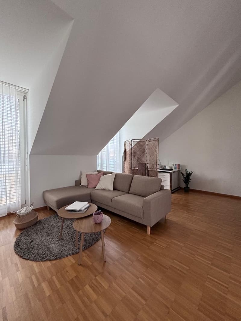 Mitbewohnerin gesucht (2)