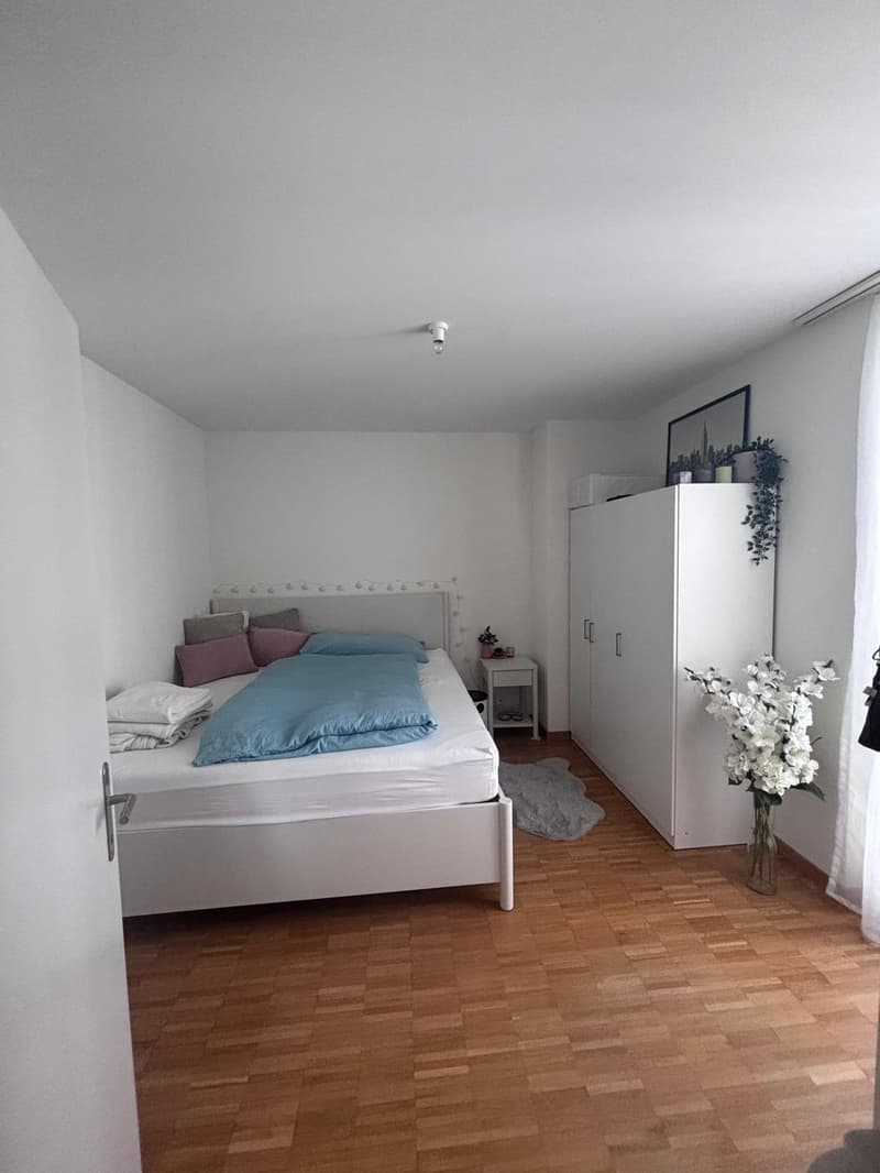 Mitbewohnerin gesucht (1)