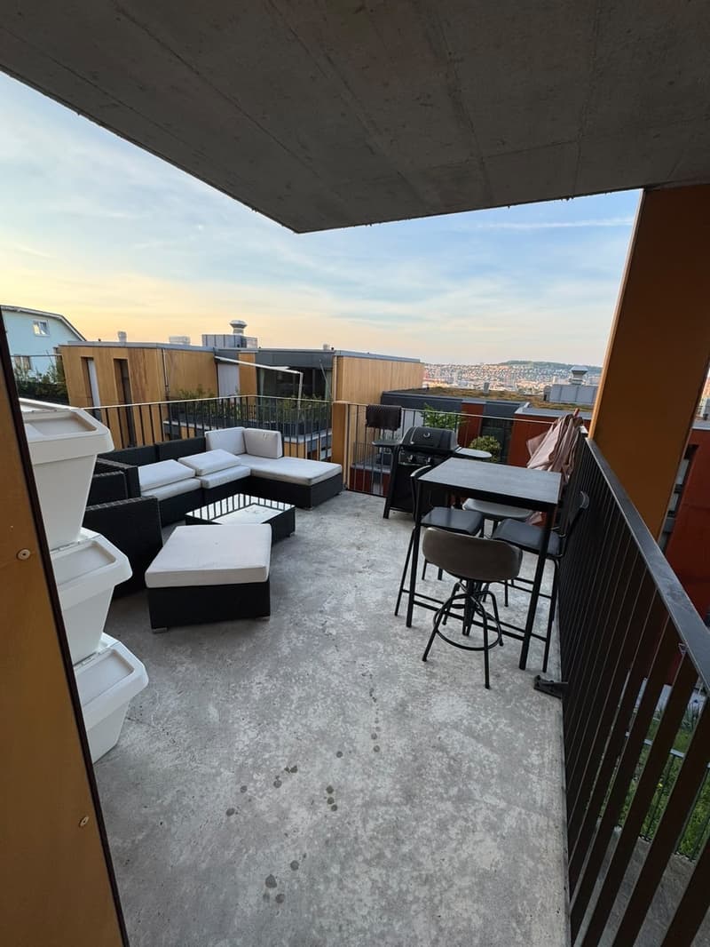 Helle 2.5-Zimmer-Wohnung mit Terrasse und Weitblick in Zürich beim Triemli (7)