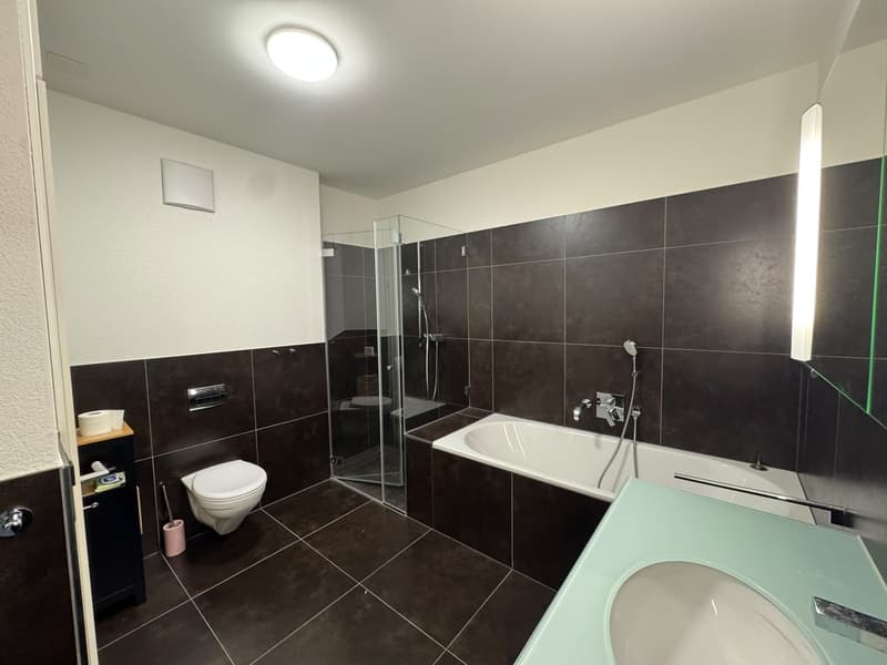 Helle 2.5-Zimmer-Wohnung mit Terrasse und Weitblick in Zürich beim Triemli (8)