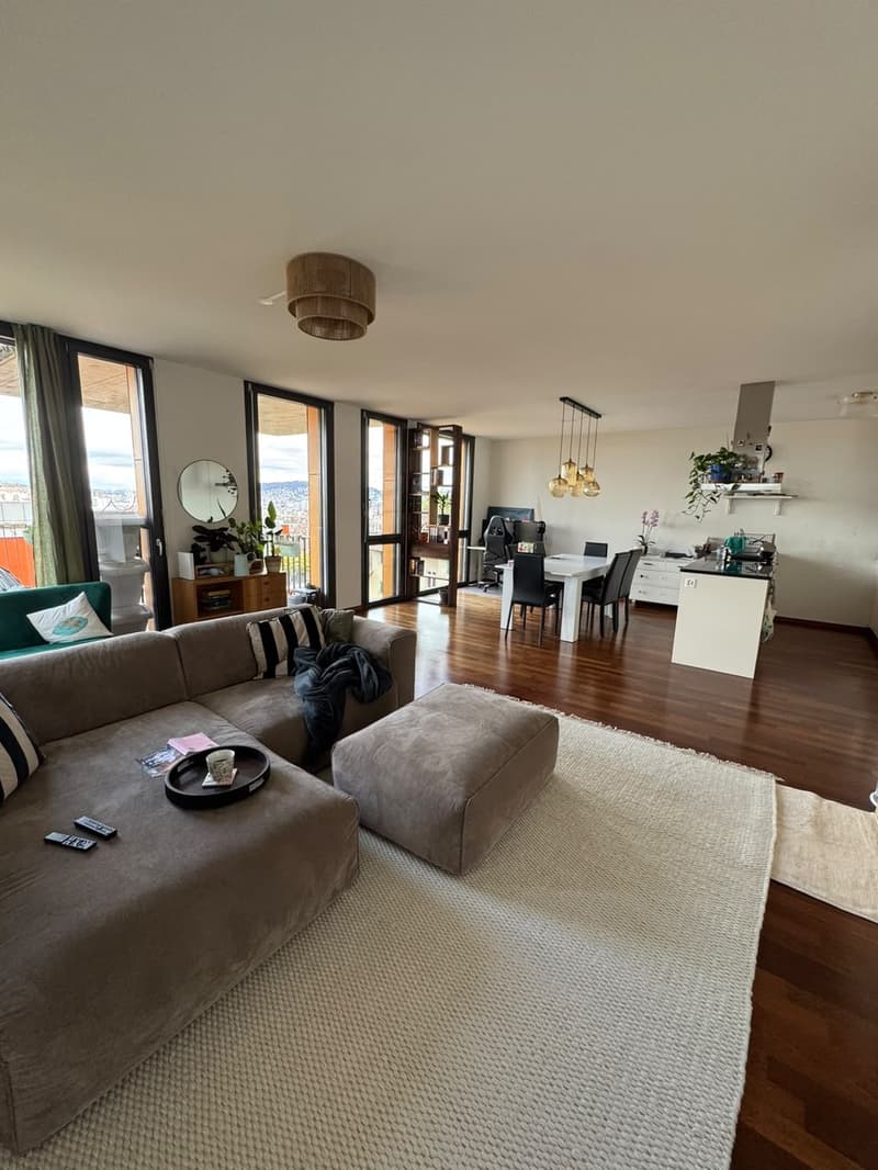 Helle 2.5-Zimmer-Wohnung mit Terrasse und Weitblick in Zürich beim Triemli (2)