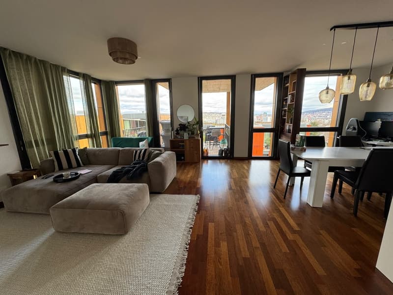 Helle 2.5-Zimmer-Wohnung mit Terrasse und Weitblick in Zürich beim Triemli (1)