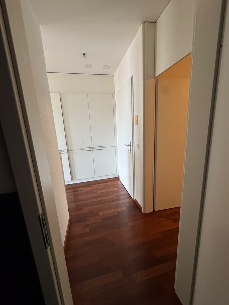 Helle 2.5-Zimmer-Wohnung mit Terrasse und Weitblick in Zürich beim Triemli (3)
