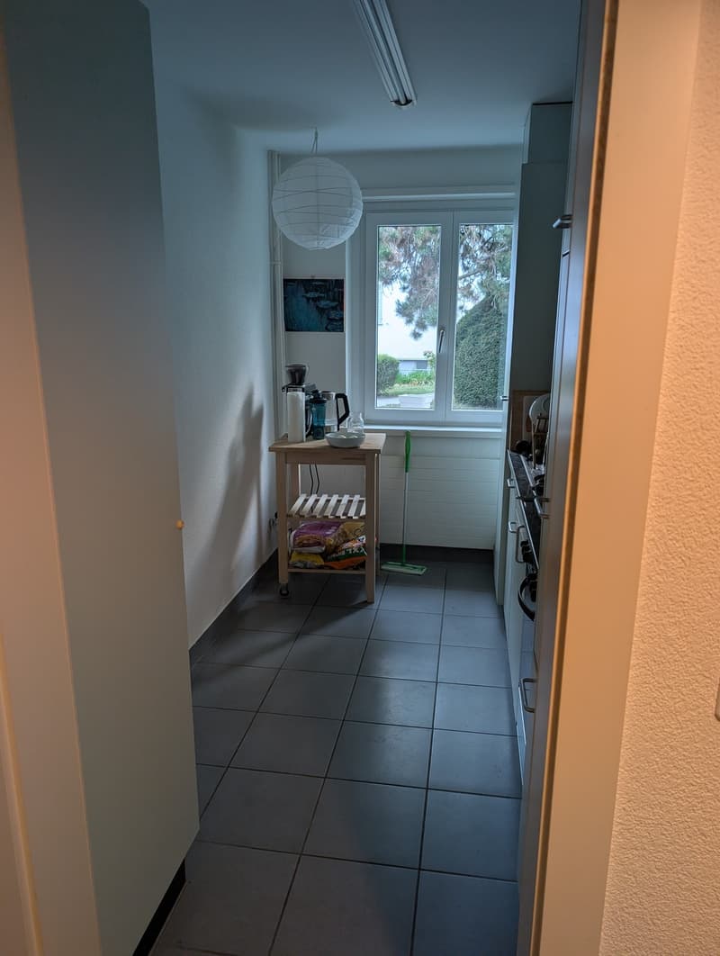 2.5 in Beautiful Quiet Wiedikon Neighborhood, close to Trame (4)