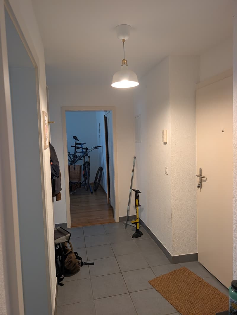 2.5 in Beautiful Quiet Wiedikon Neighborhood, close to Trame (5)