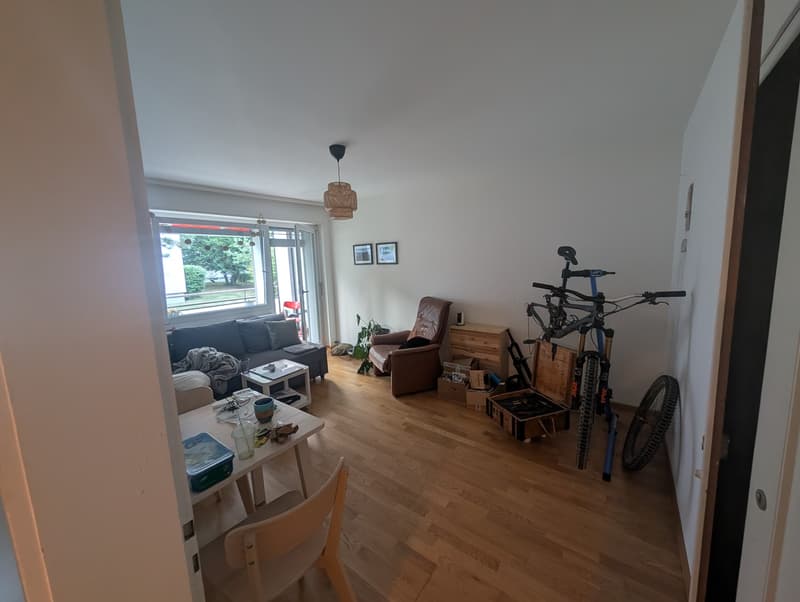 2.5 in Beautiful Quiet Wiedikon Neighborhood, close to Trame (3)