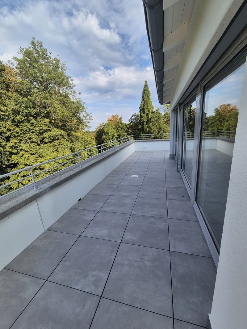 Exklusive 4.5-Zimmer-Attikawohnung mit Lift direkt in die Wohnung (3)