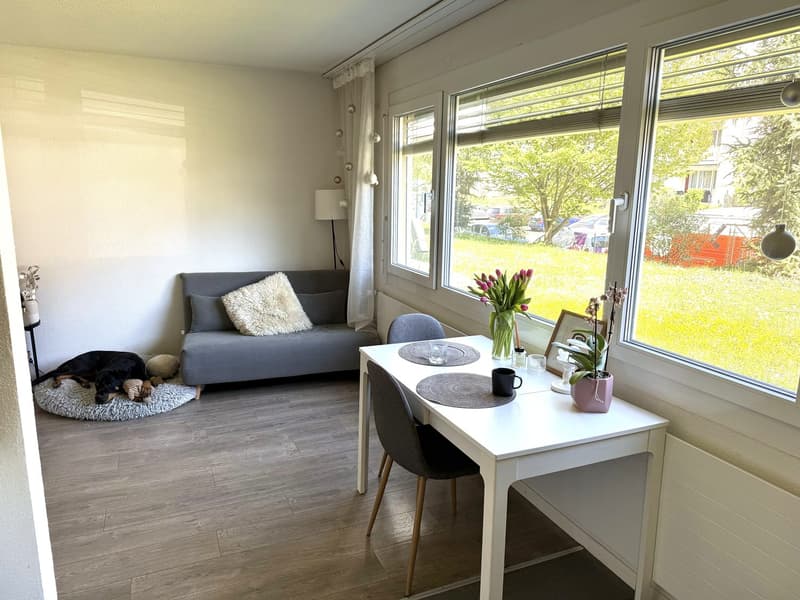1.5-room apartment in Zurich Altstetten available from approx. 20 October 2026 (3)