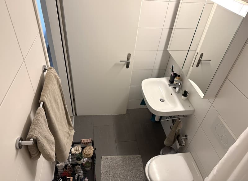 1.5-room apartment in Zurich Altstetten available from approx. 20 October 2026 (5)