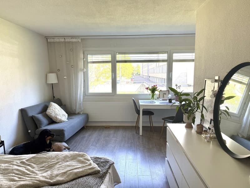 1.5-room apartment in Zurich Altstetten available from approx. 20 October 2026 (1)