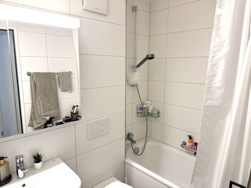 1.5-room apartment in Zurich Altstetten available from approx. 20 October 2026 (6)