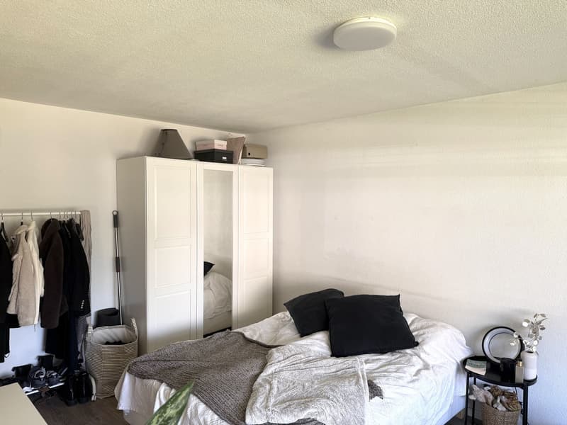 1.5-room apartment in Zurich Altstetten available from approx. 20 October 2026 (4)