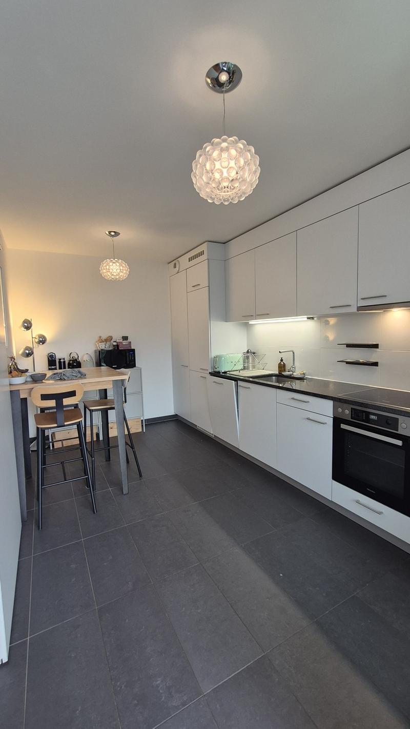 Appartement 4.5P Chemin de la Montagne, Chêne-Bougeries (4)