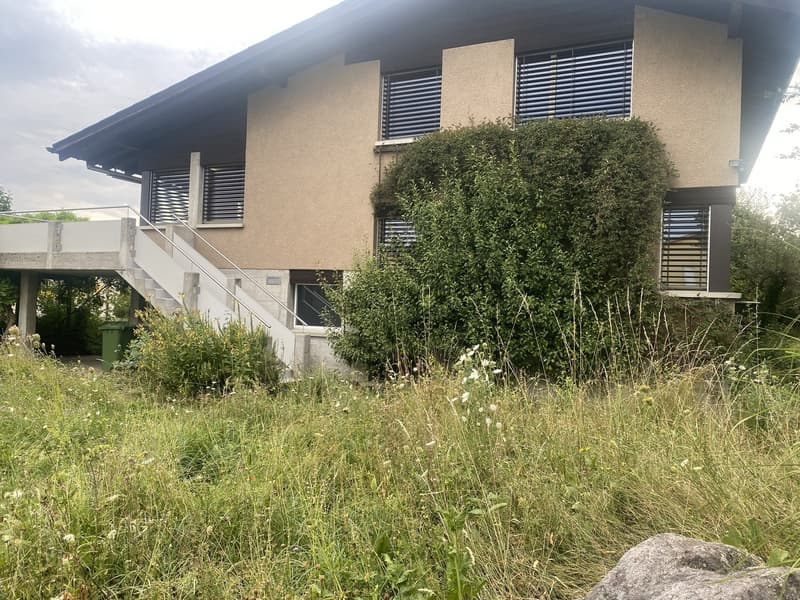 WG Haus mit Garten (2)
