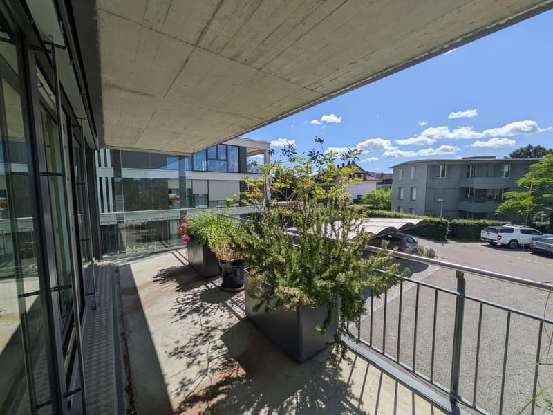 3 ½ Zimmer-Wohnung, 8404 Winterthur (11)